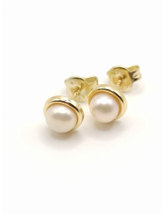 Ασημένια καρφάκια