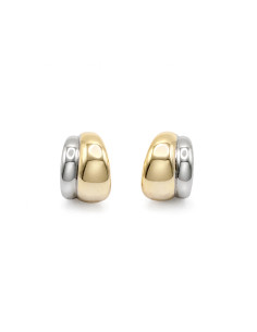 Silver earrings