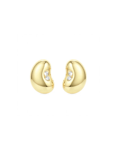 Silver earrings