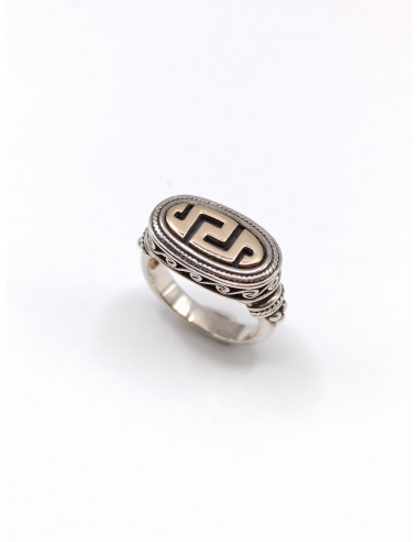 Silver gold ring