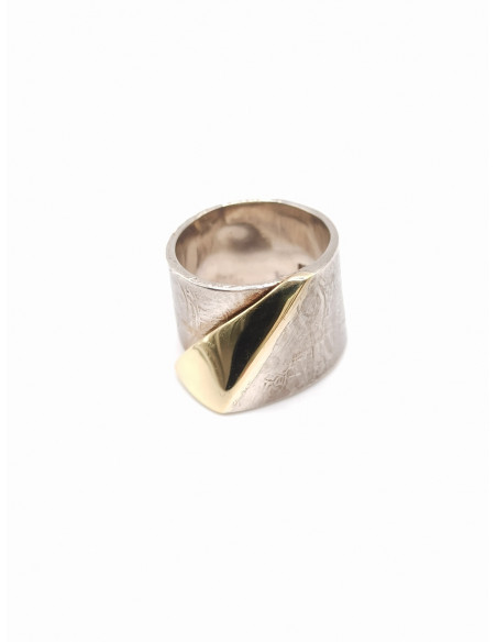 Silver gold ring